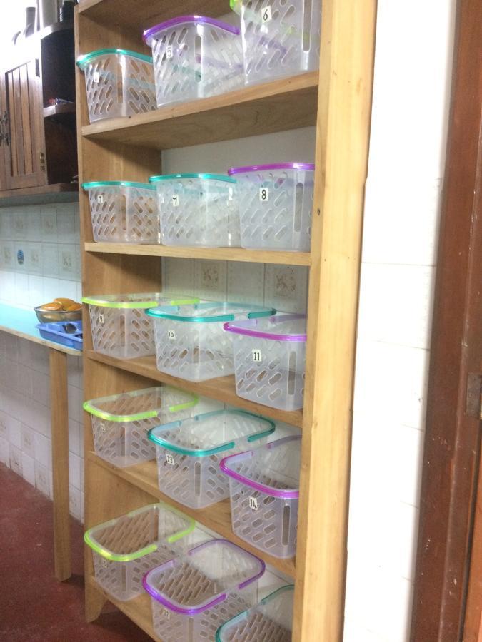 The Amazon Within Hostel อีกีโตส ภายนอก รูปภาพ